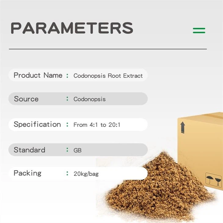 Codonopsis Root Extract