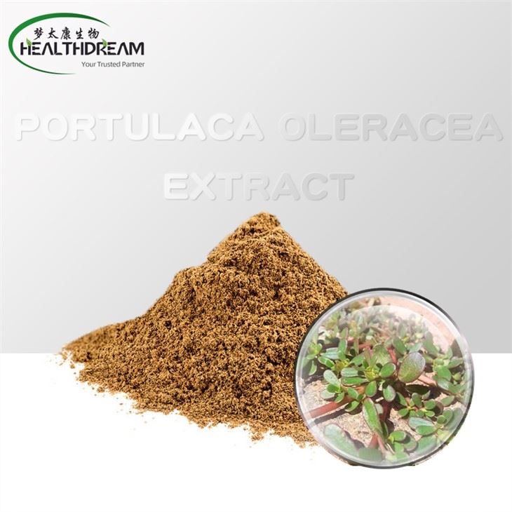 Εκχύλισμα Portulaca Oleracea